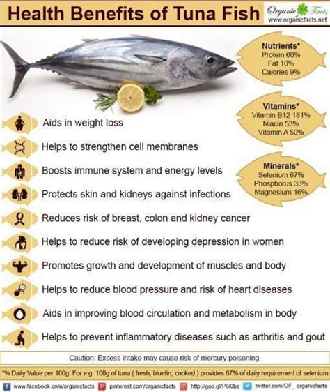 does fish oil raise blood pressure.